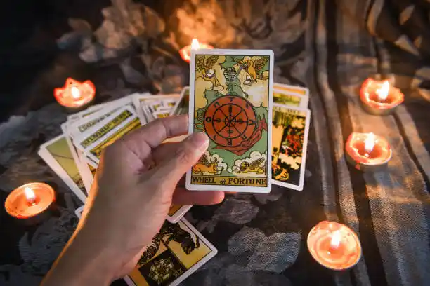 tarot cards Echelon